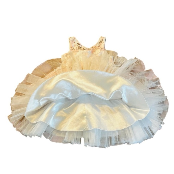 American Princess Floral Dress Size 2T White and Pastel Pink Floral Overlay - Picture 3 of 14